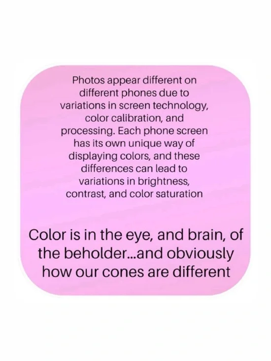 NWT Edikted XS pinstriped cropped button down & shorts set - Picture 12 of 15